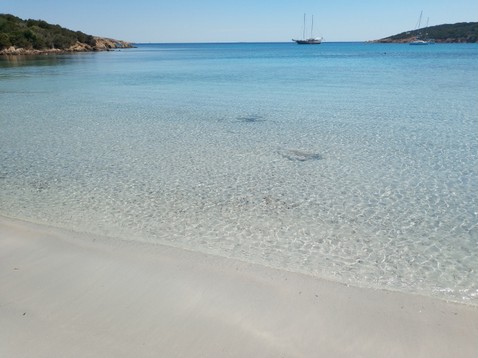 MADDALENACAPRERA (1).jpg