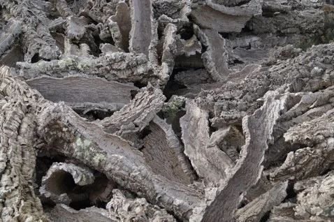 GALLURAMISTICA (2).JPG